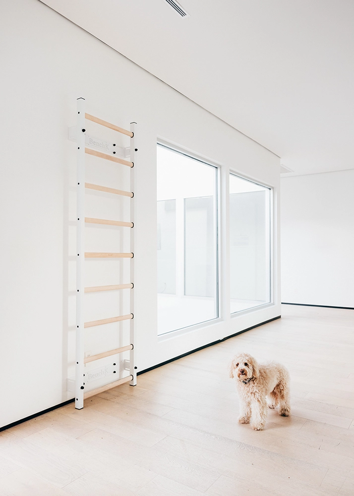 Gymnastic wall bars for home